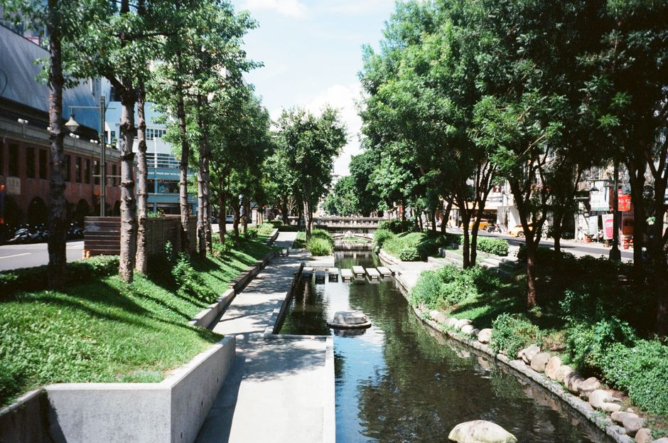 台灣大學校園景觀