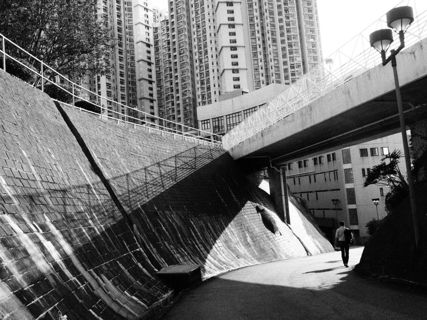 港人獎學金計劃2025主要選項示意圖
