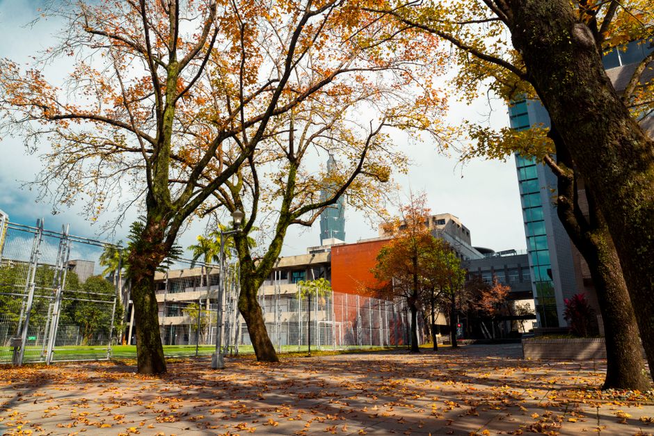 麥基爾大學校園