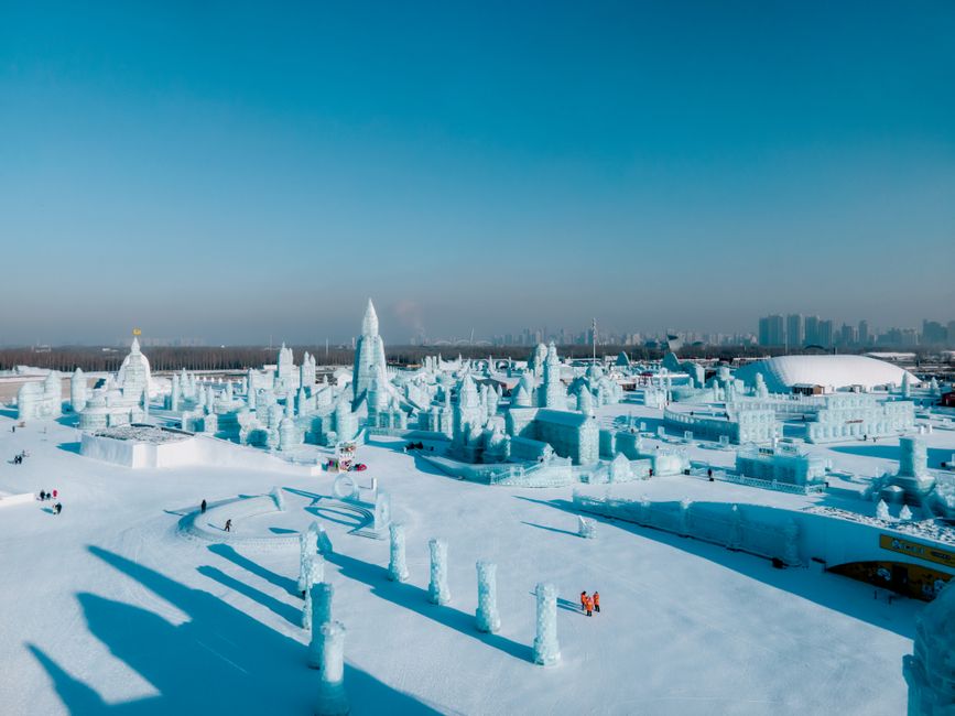 哈佛校園全景