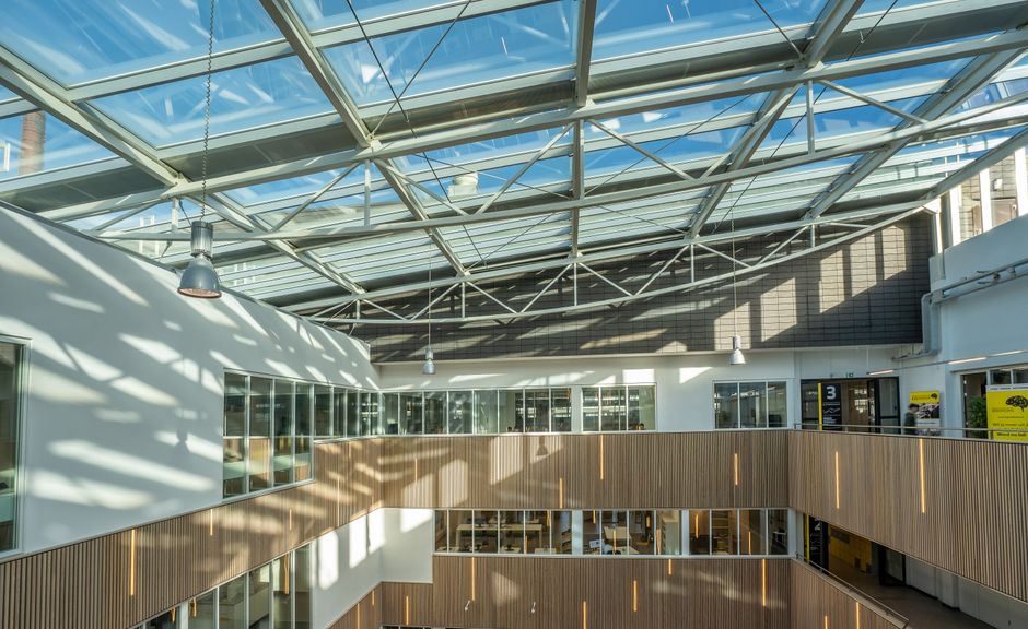 紐西蘭大學校園景觀，陽光灑落在現代建築上