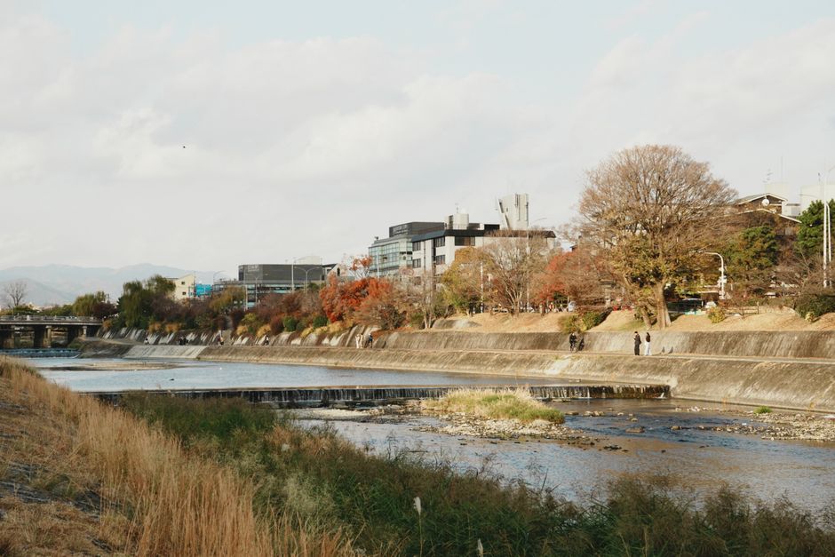 日本大學校園景觀與學生